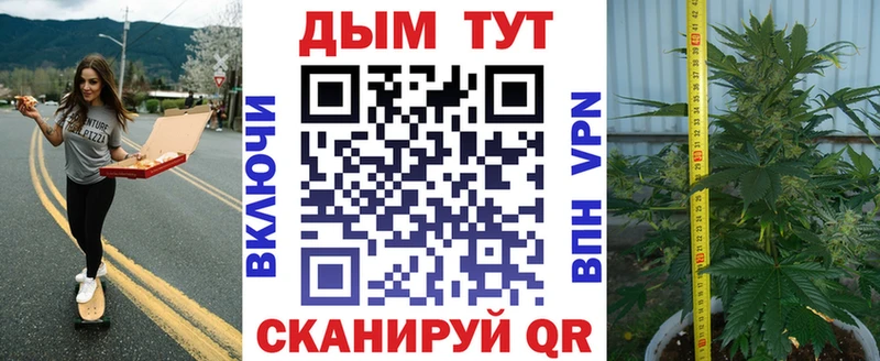 OMG   Бахчисарай  Бошки Шишки план  где найти наркотики 